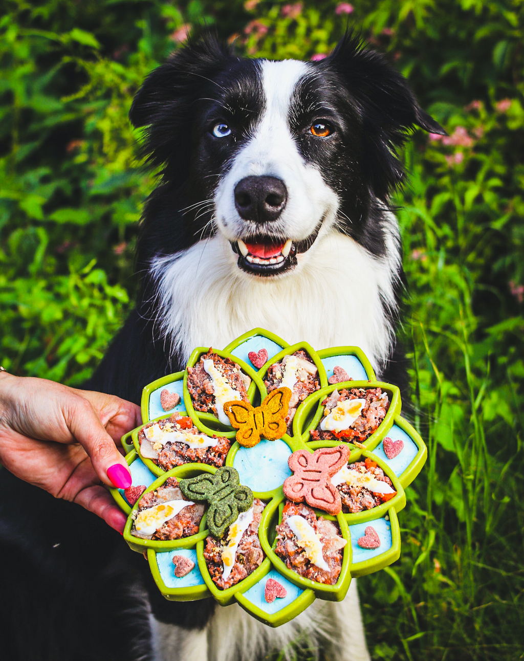 Mandala eTray Shallow Slow Feeder Dog