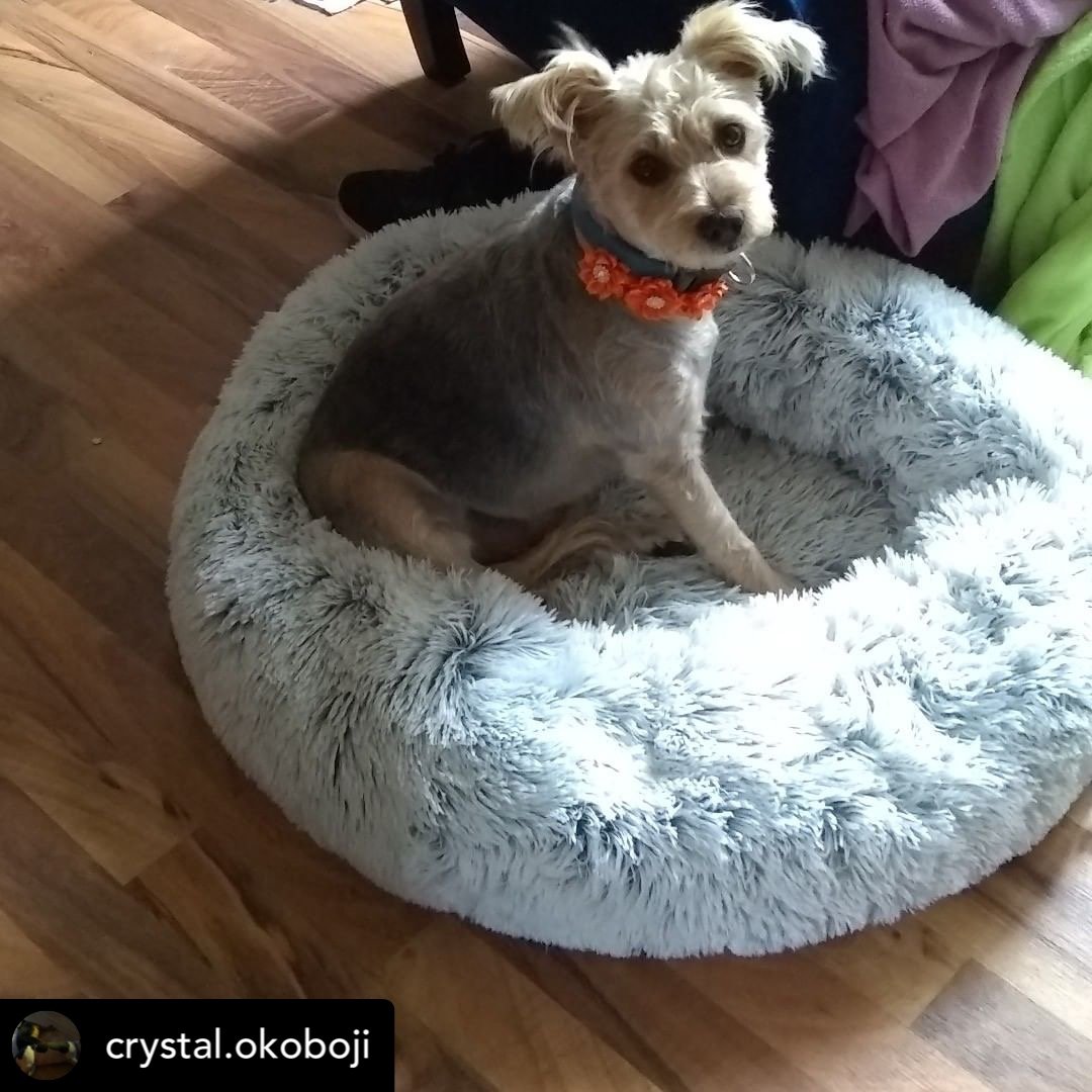 Mr. Peanut's 28" OrthoPlush® Pet Bed