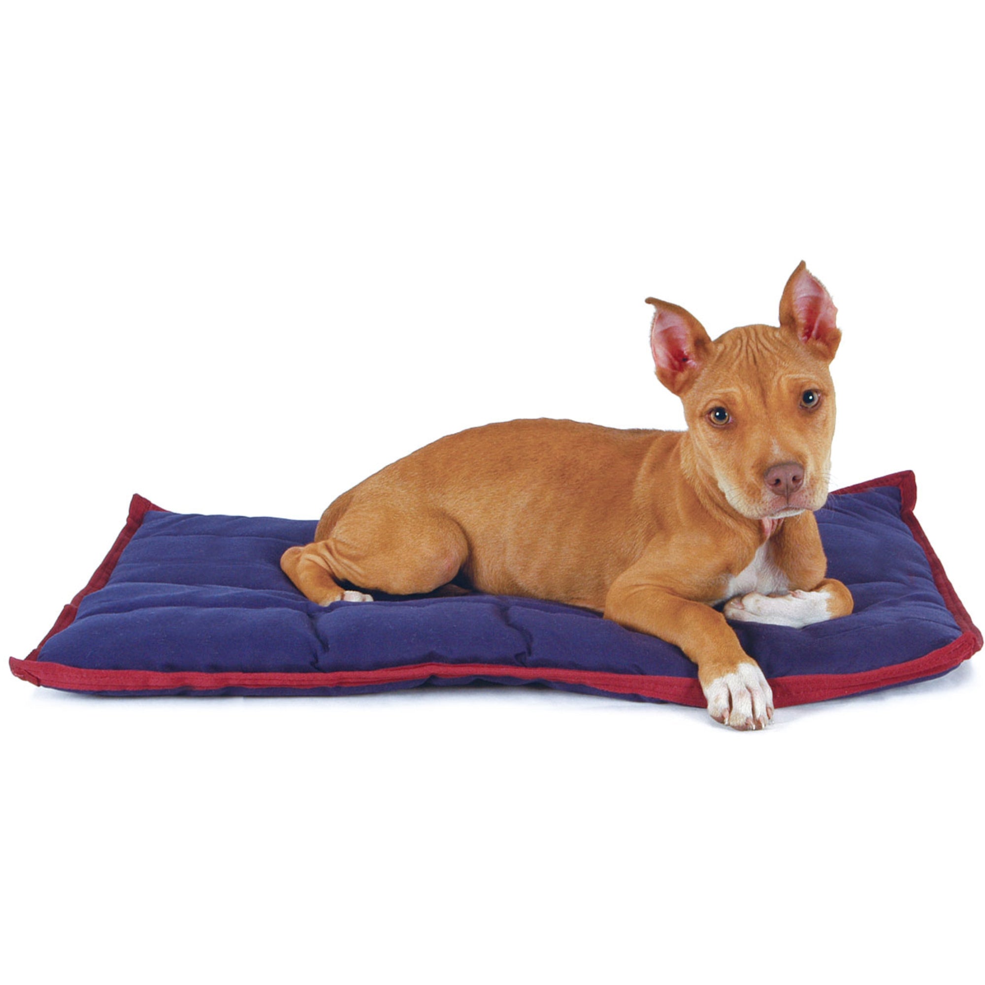 Comfy Dog Pillow for Crates, Carriers, or Lounging