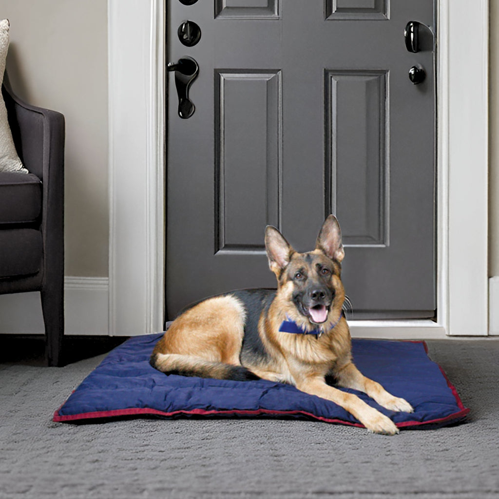Comfy Dog Pillow for Crates, Carriers, or Lounging