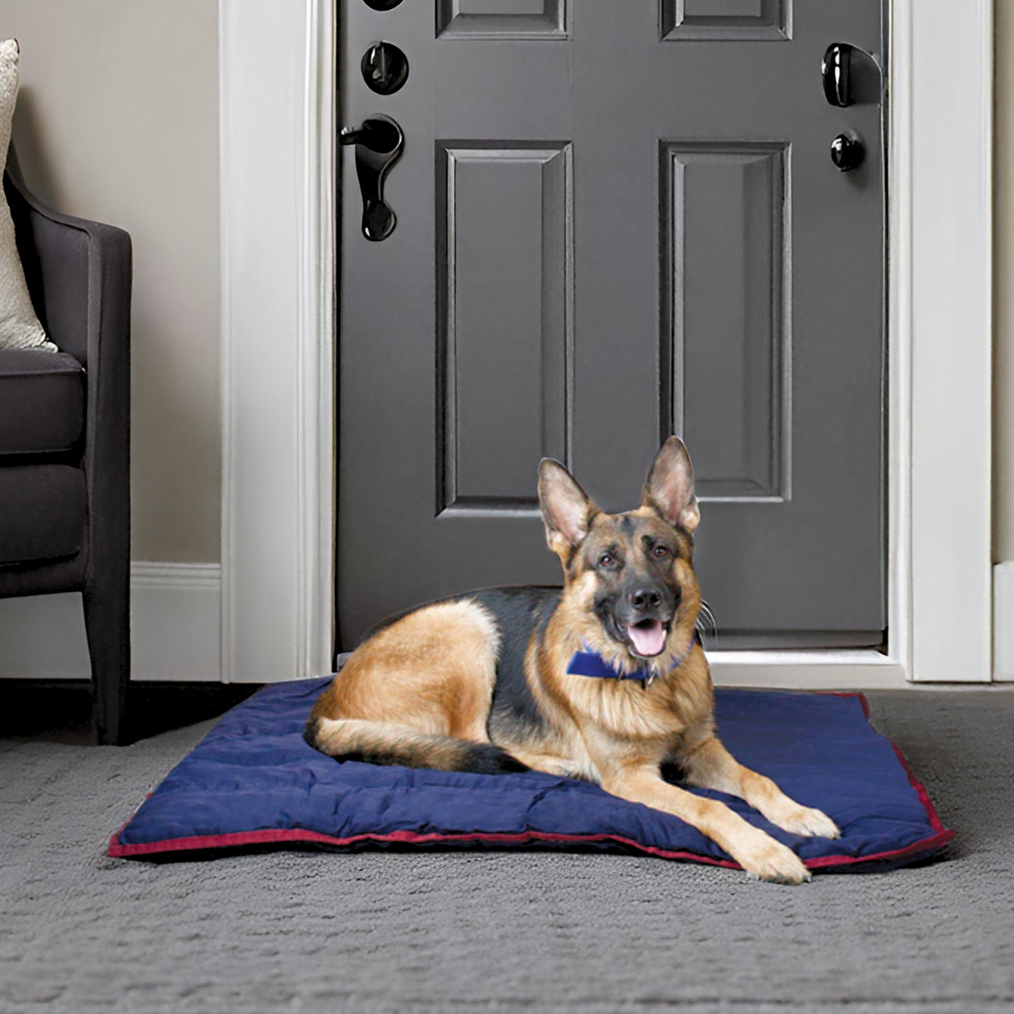 Comfy Dog Pillow for Crates, Carriers, or Lounging