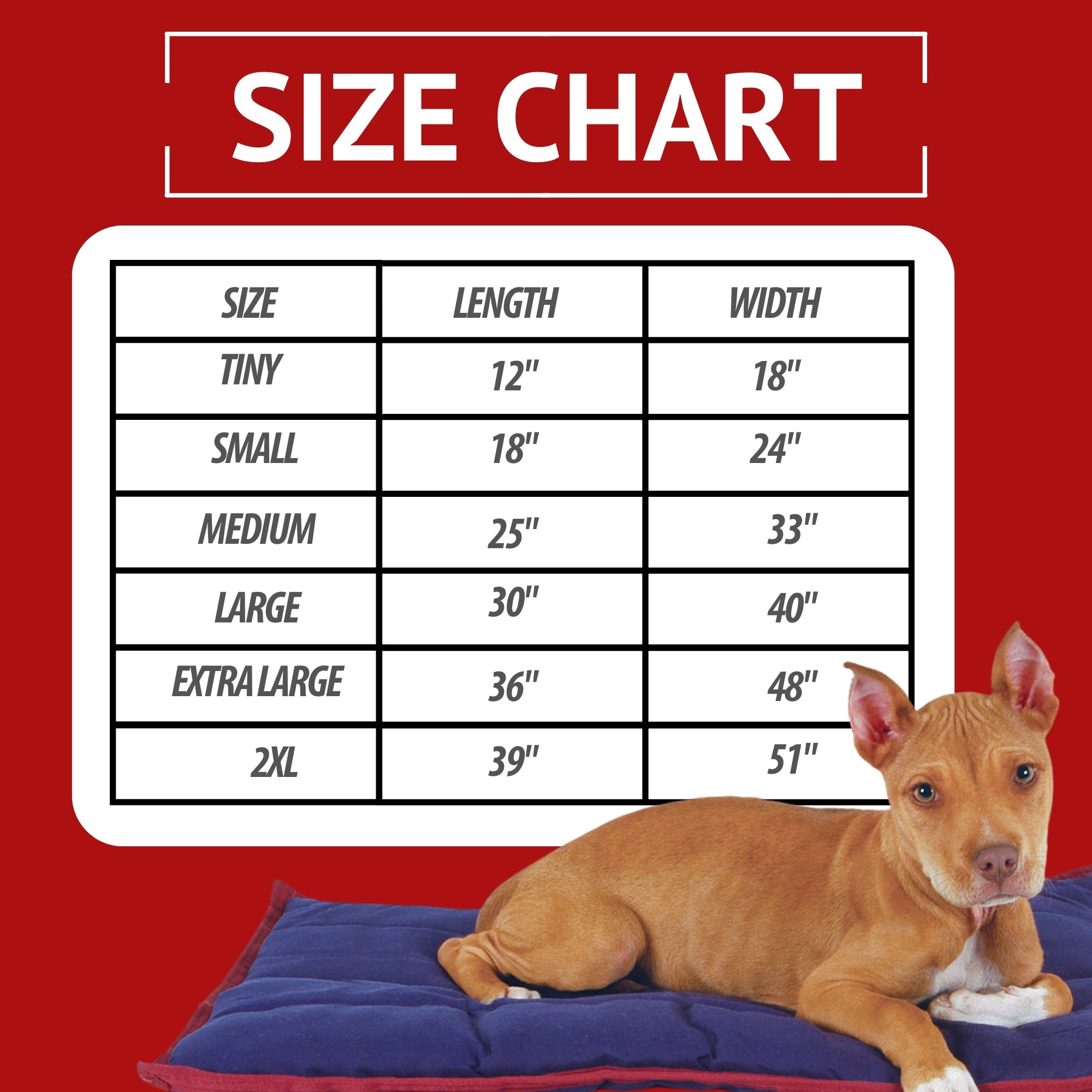 Comfy Dog Pillow for Crates, Carriers, or Lounging