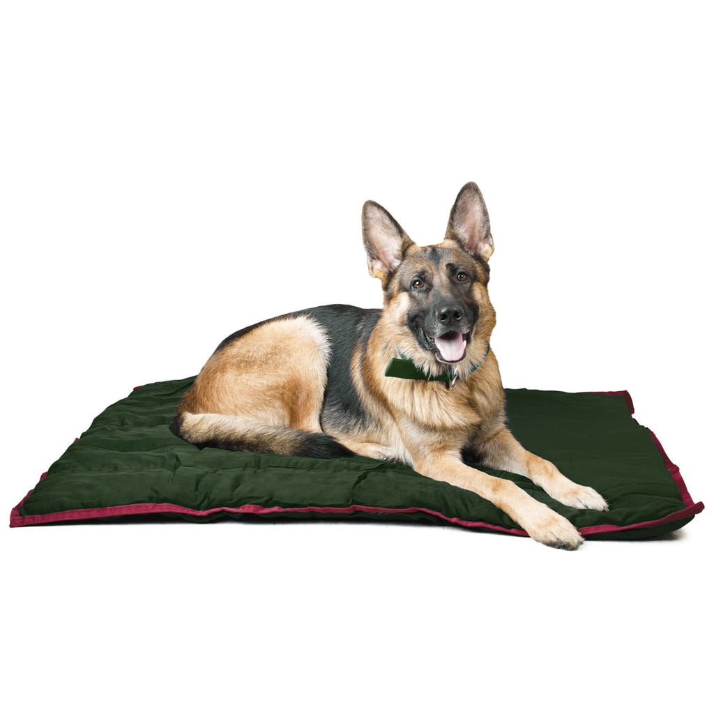 Comfy Dog Pillow for Crates, Carriers, or Lounging