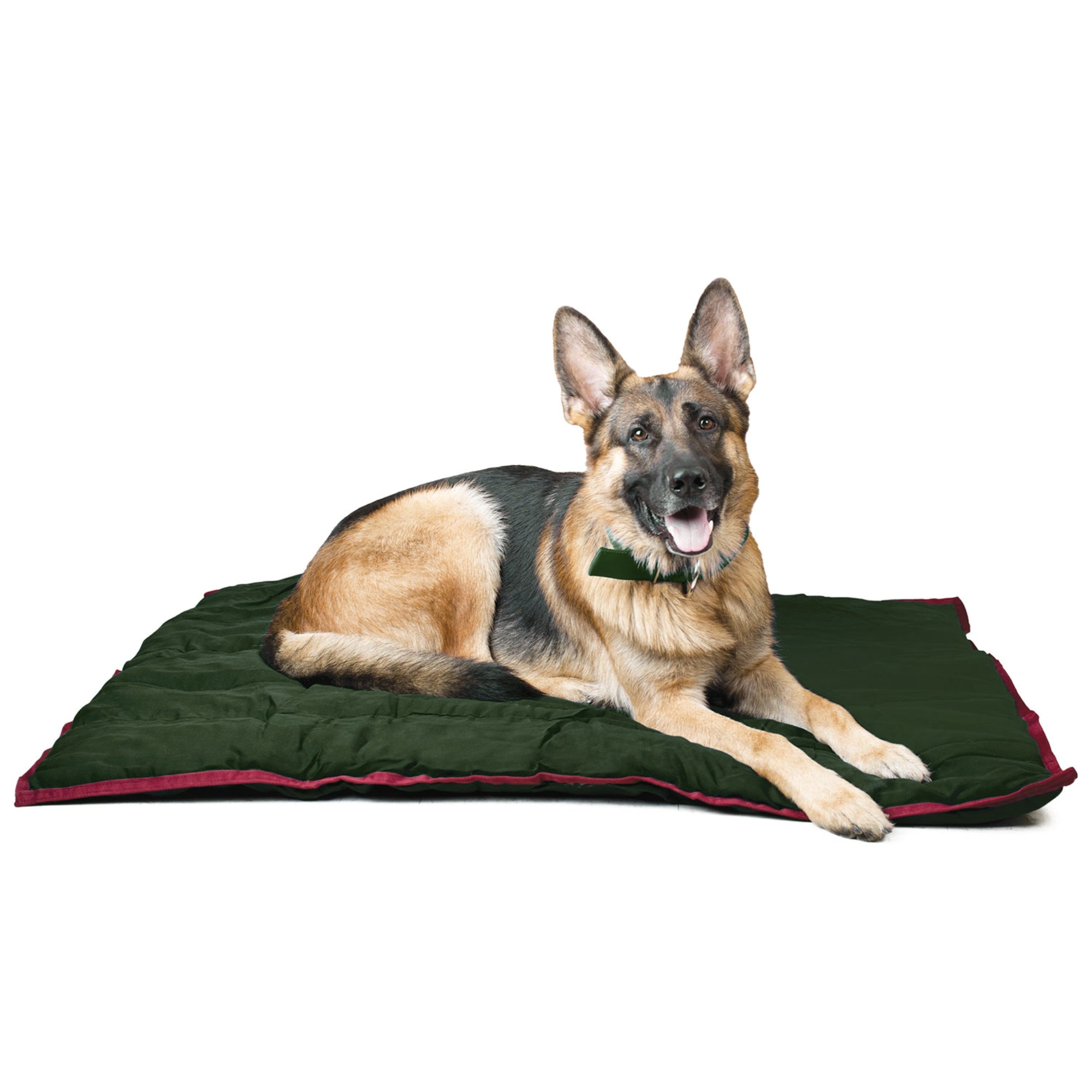 Comfy Dog Pillow for Crates, Carriers, or Lounging