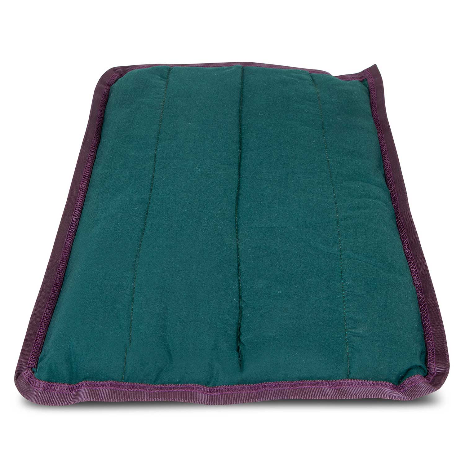 Comfy Dog Pillow for Crates, Carriers, or Lounging