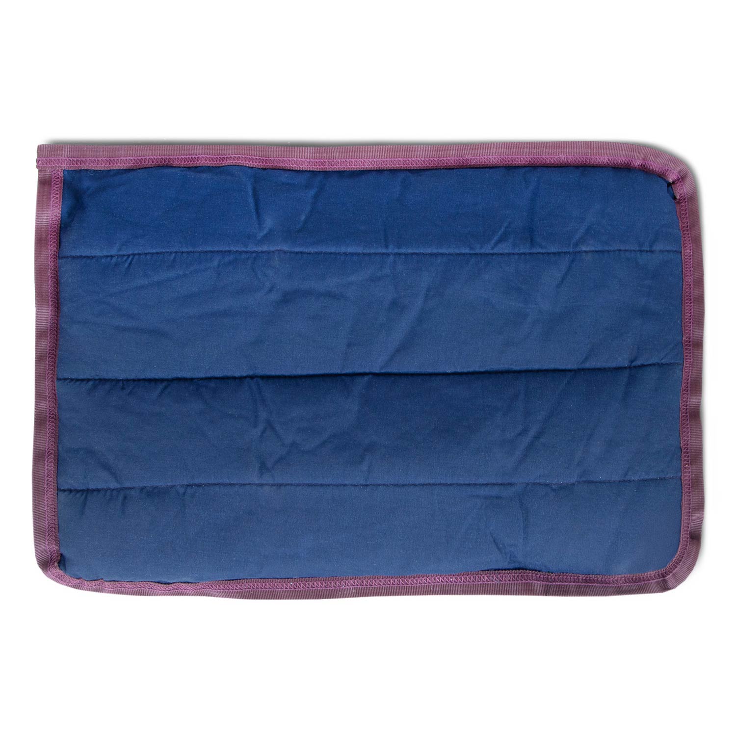 Comfy Dog Pillow for Crates, Carriers, or Lounging