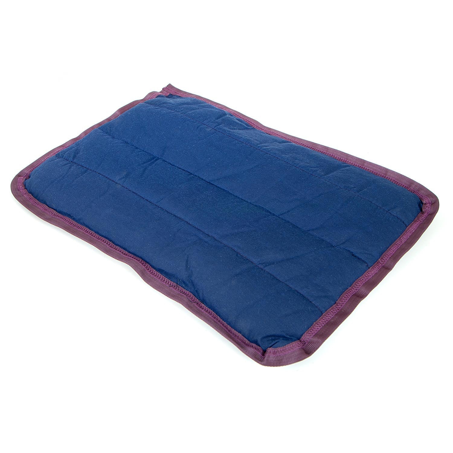 Comfy Dog Pillow for Crates, Carriers, or Lounging