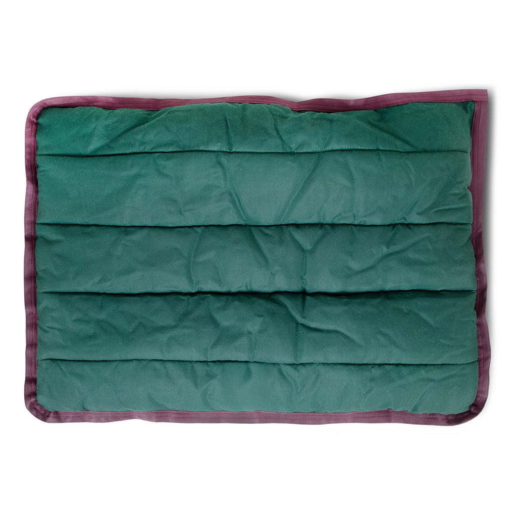 Comfy Dog Pillow for Crates, Carriers, or Lounging