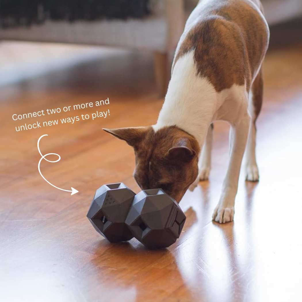 Odin Treat Dispensing Toy For Dogs
