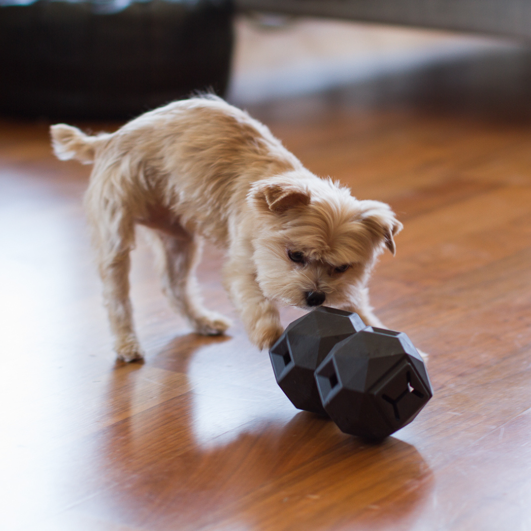 Odin Treat Dispensing Toy For Dogs