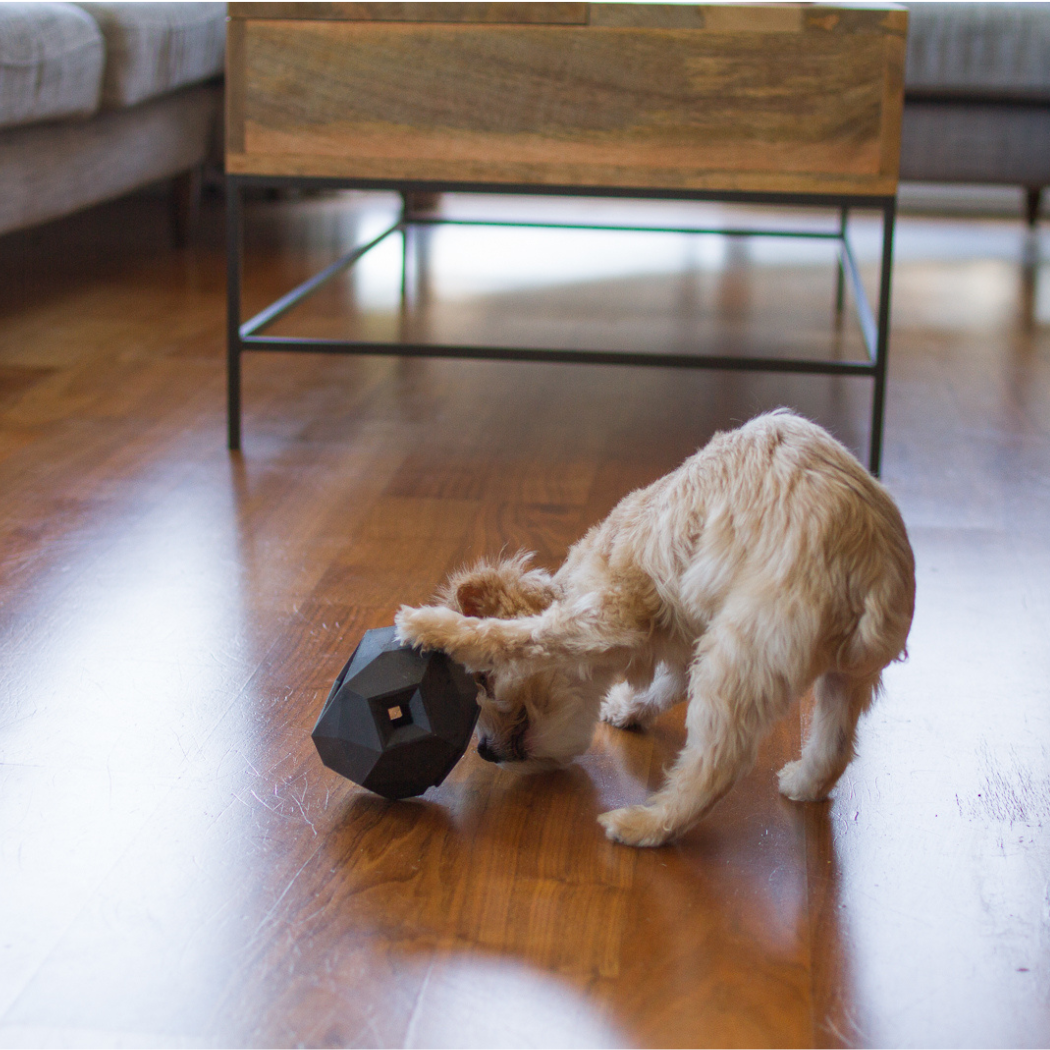 Odin Treat Dispensing Toy For Dogs
