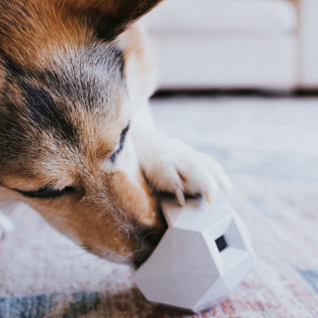 Odin Treat Dispensing Toy For Dogs