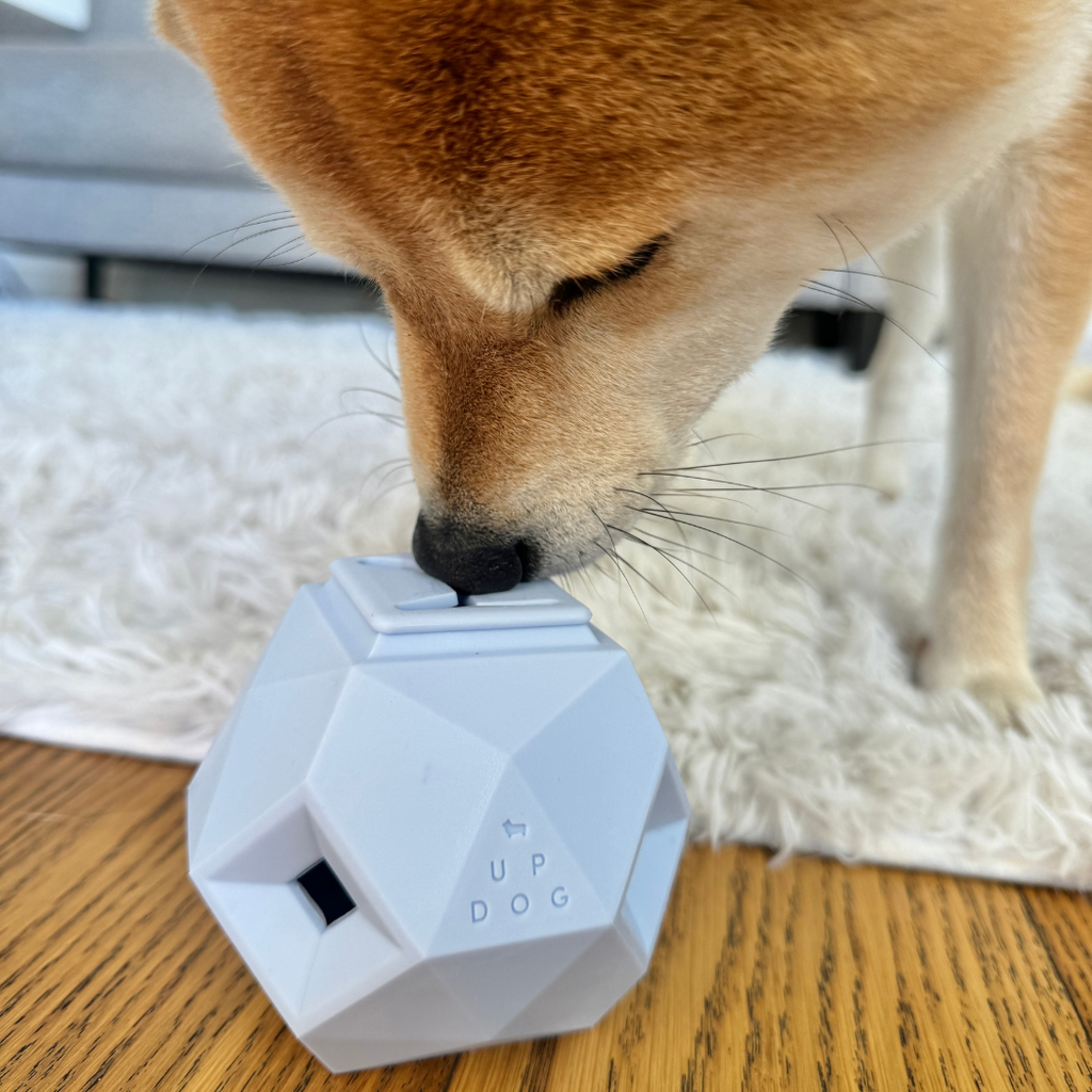 Odin Treat Dispensing Toy For Dogs
